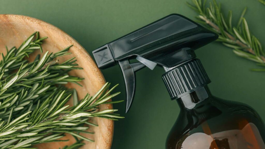 Key Ingredients & Their Benefits